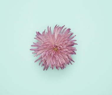 cover-image