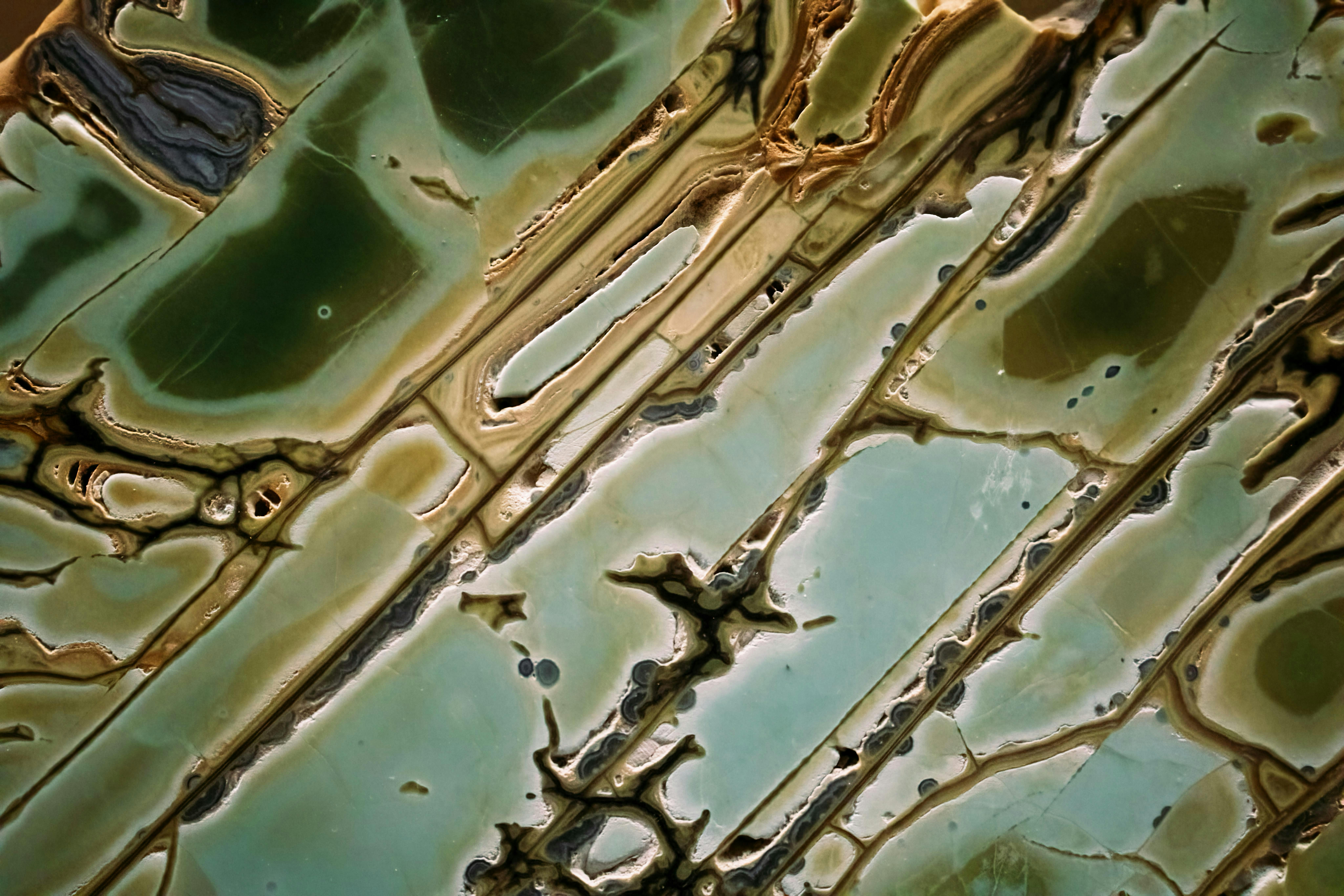 cover-image