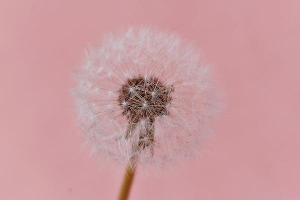 Expert-comptable à Tremblay-en-France : à qui faire appel ?