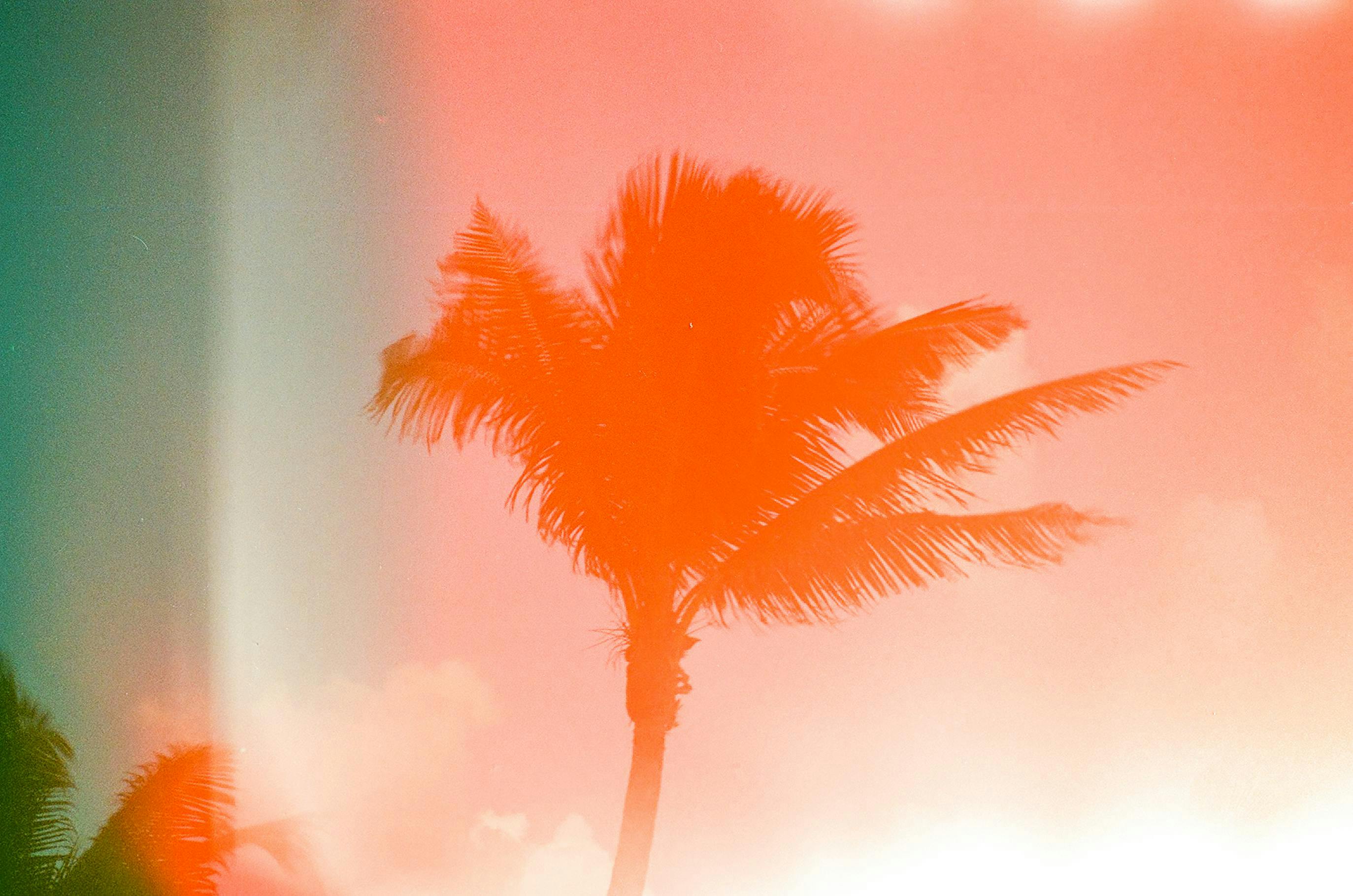 cover-image