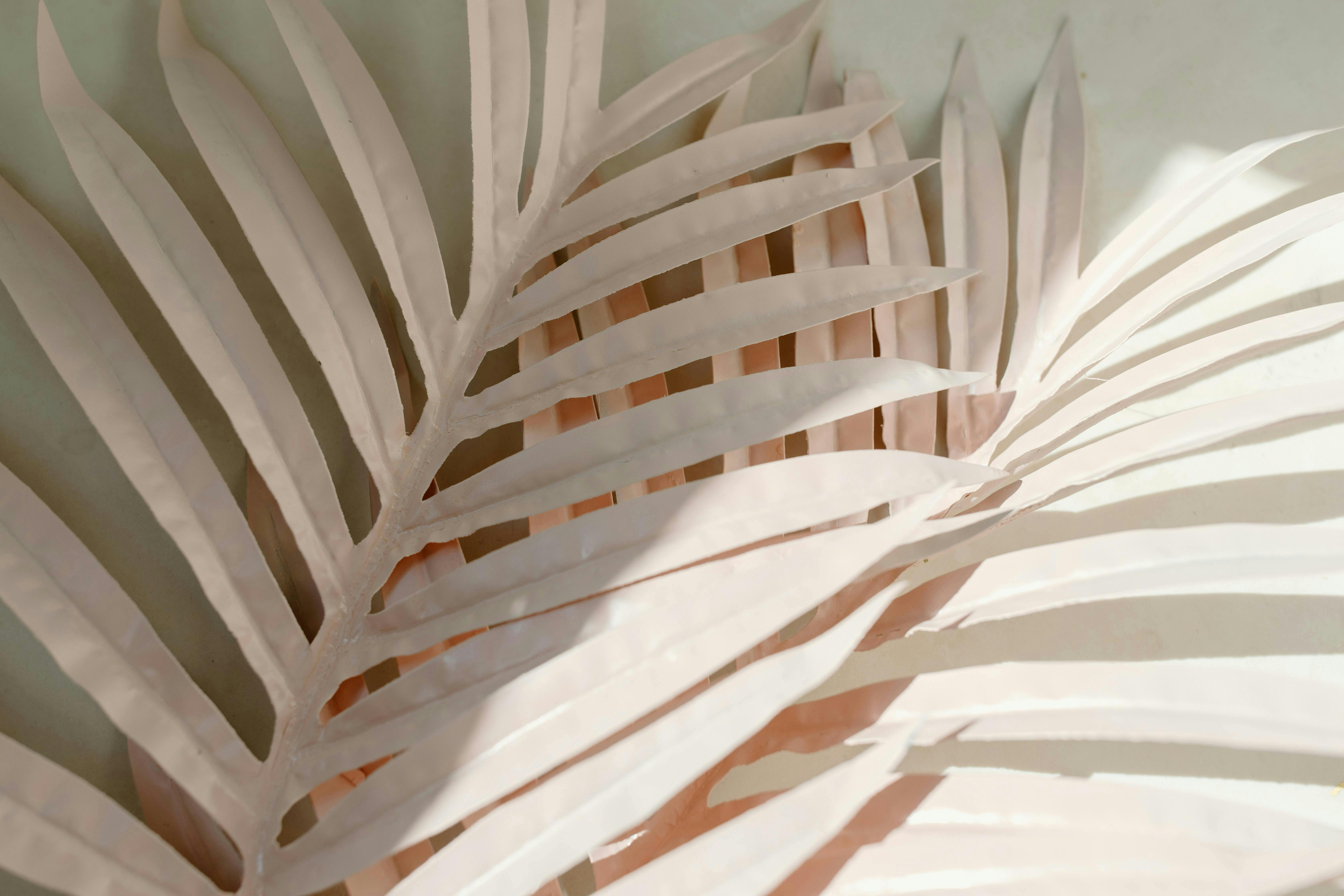 cover-image