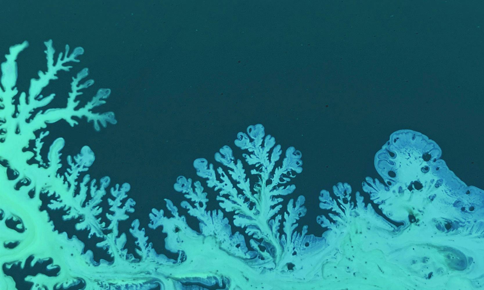 cover-image