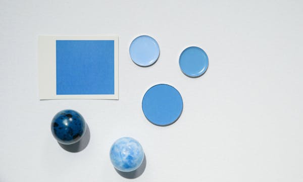 Le guide complet sur le capital social d'une SARL