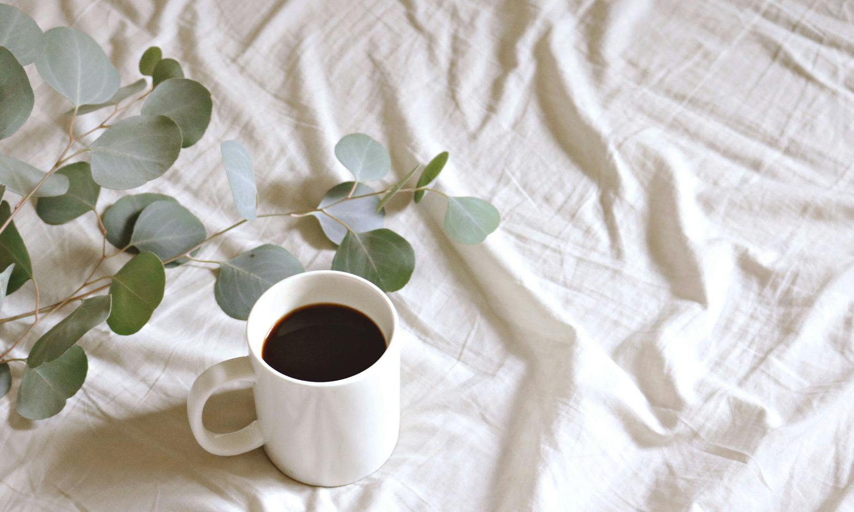 Comment récupérer et télécharger mon kbis en ligne de façon gratuite