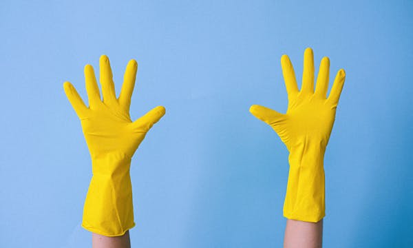 Auto-entrepreneur vs SASU : quel statut est le mieux adapté à votre activité ?