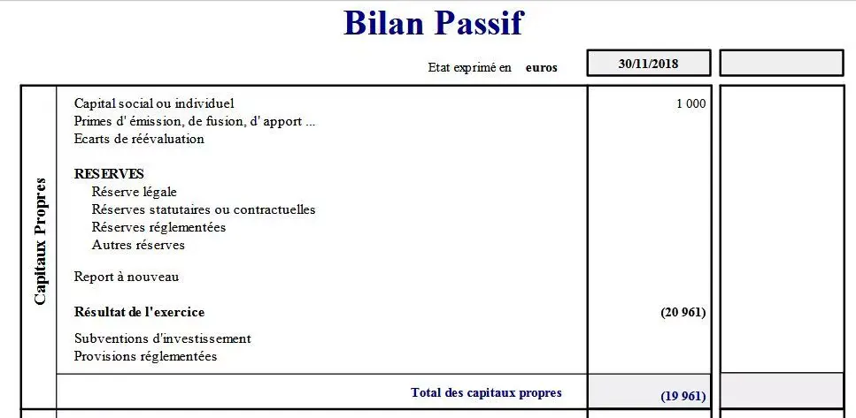 Capital social d’une entreprise : définition et infos pratiques