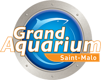 grand-aquarium-de-saint-malo