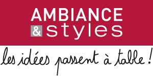 AMBIANCE ET STYLES logo