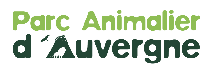 logo_category