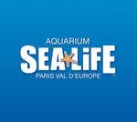 aquarium sea life