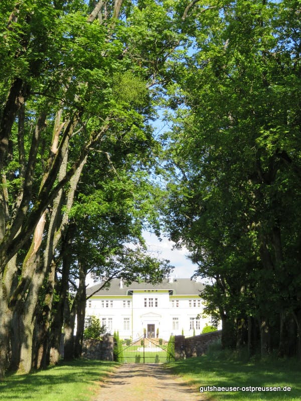 Allee mit Blick zum Herrenhaus