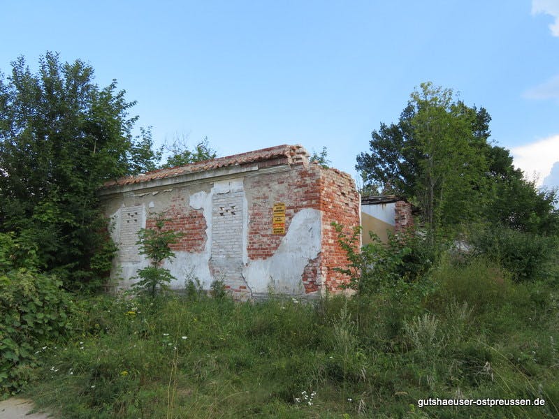 Ruine des Gutshauses