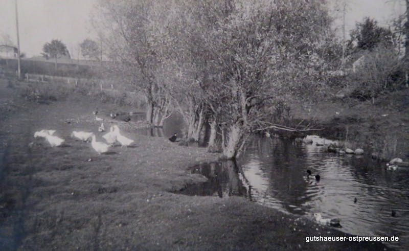 Originalfoto "Gänsegarten" um 1928