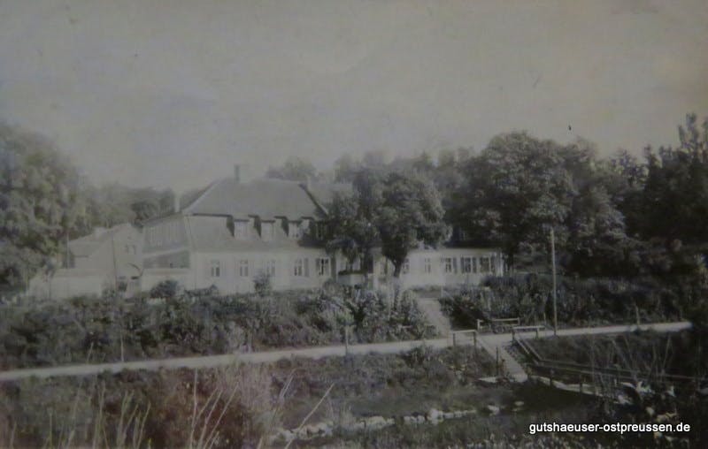 Originalfoto 1920er Jahre