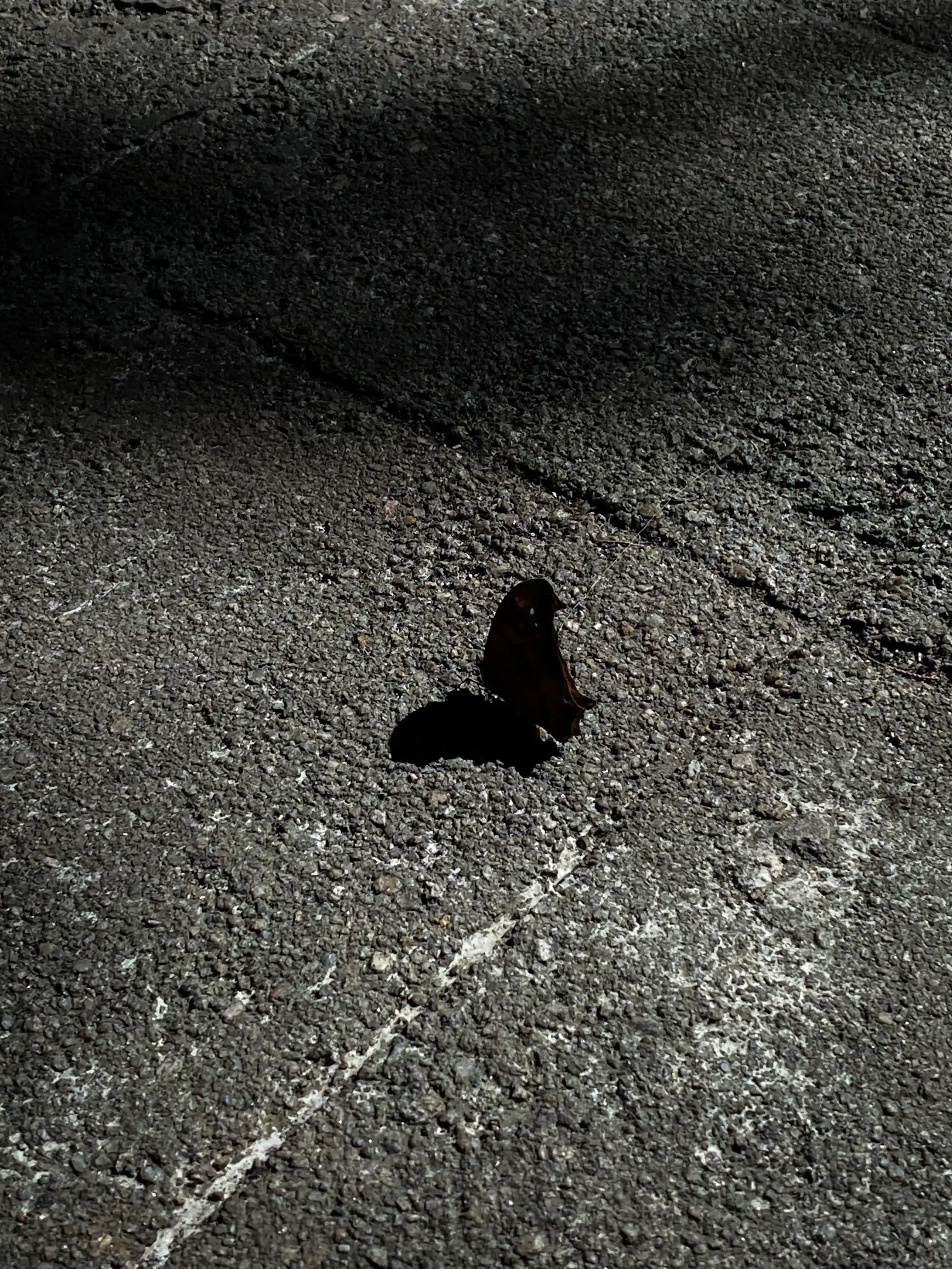 Fragility