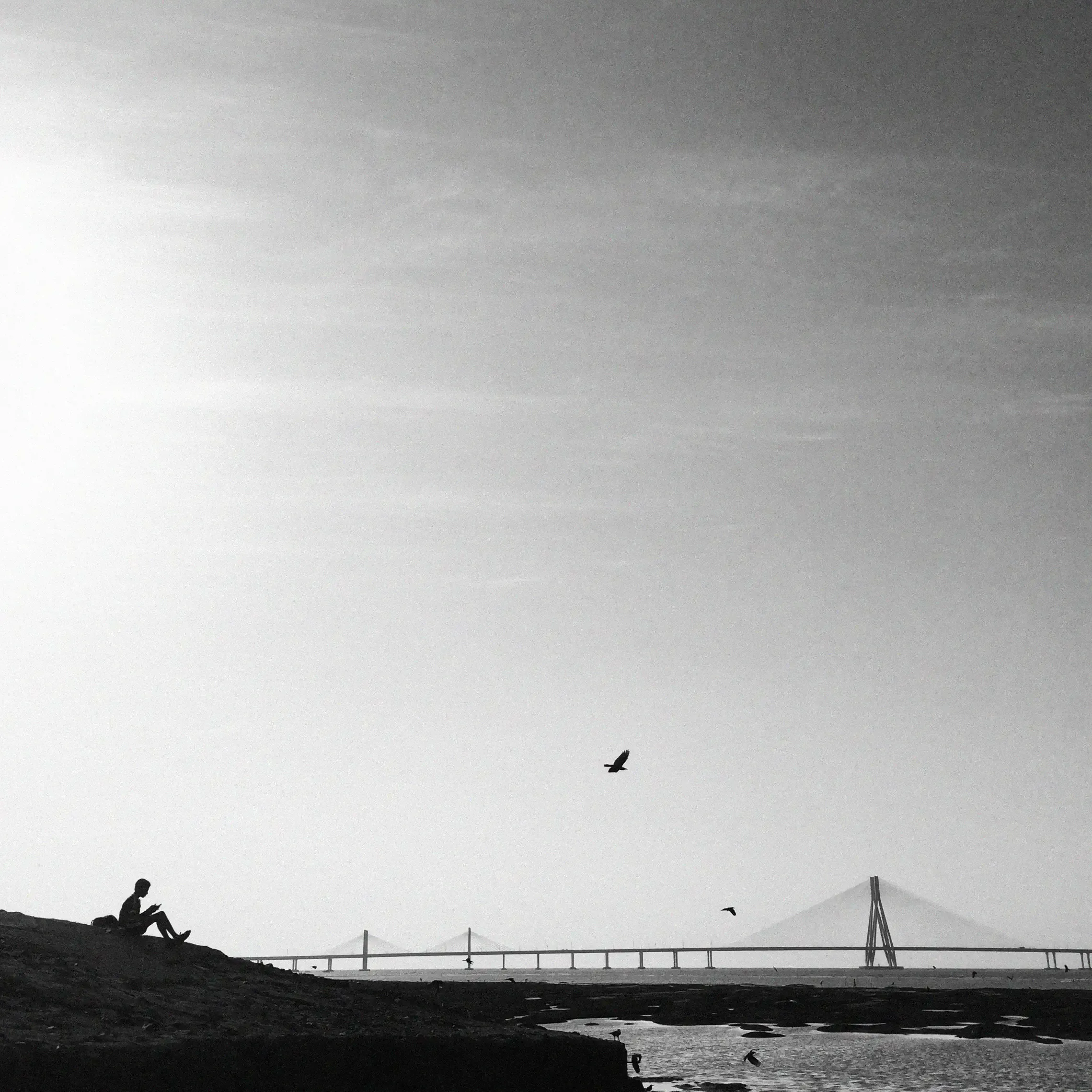 Dear Bombay