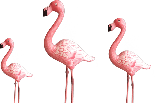 Three handcarved wooden flamingo's