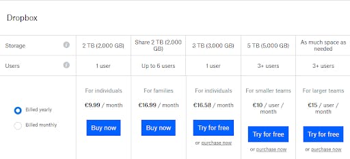 monetisation of saas app