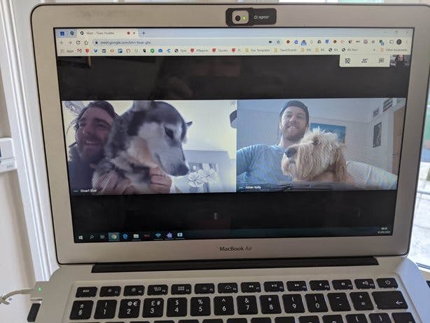 A laptop showing a virtual Google hangout with two Texthelp employees, each with their dog