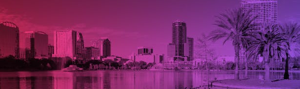 City skyline with palm trees in the foreground