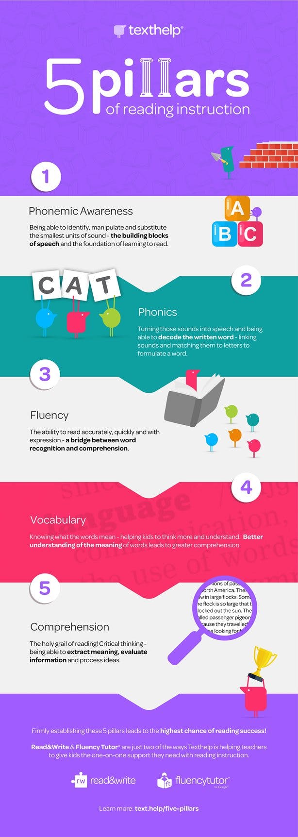 5 pillars of reading instruction infographic