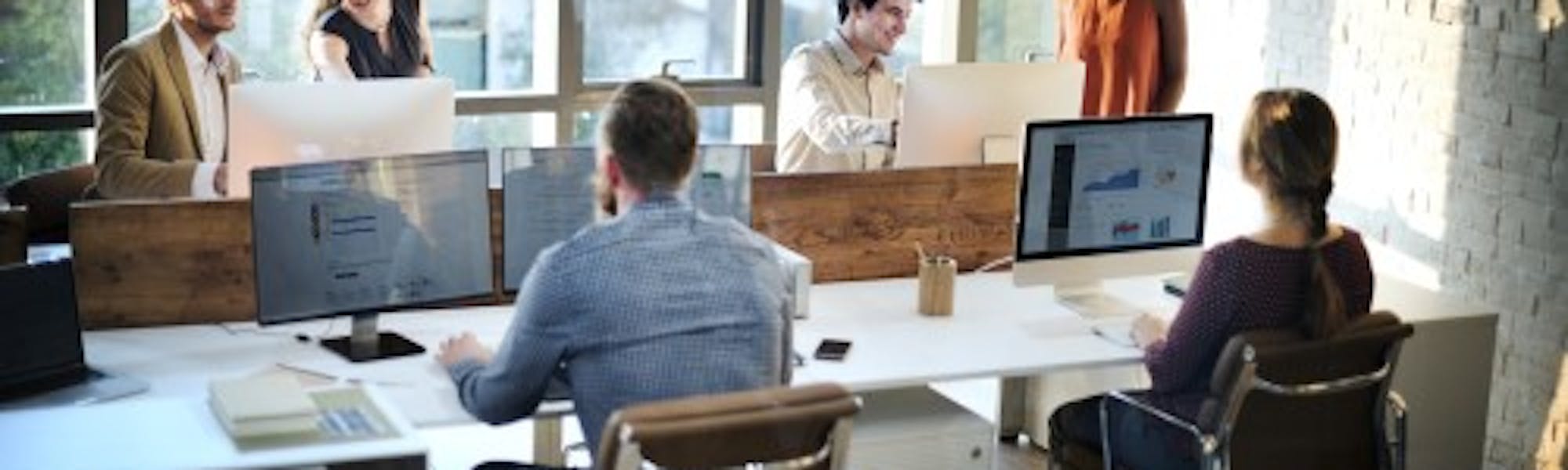 Employees in an office working at separate desks on computers