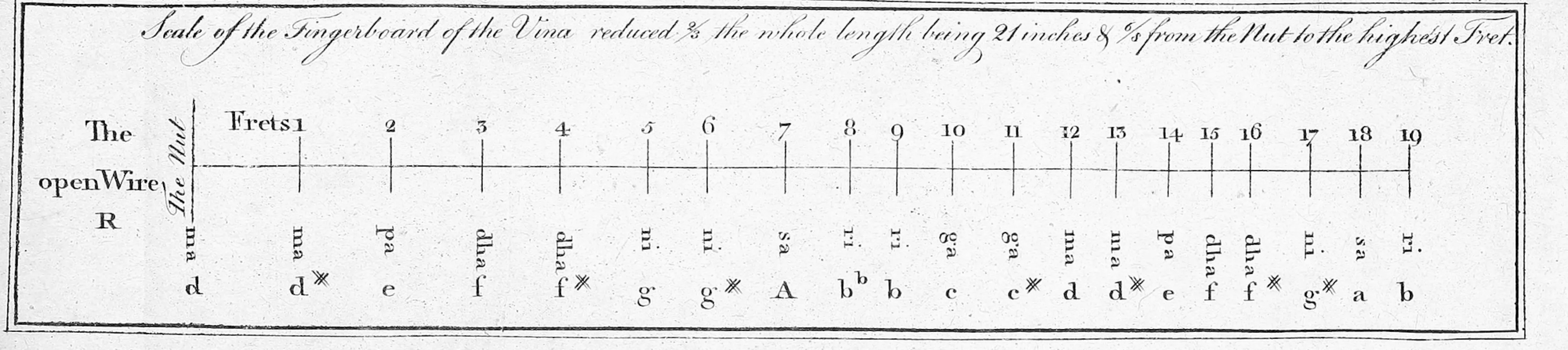 engraved plate: “Scale of the Fingerboard of the Vina reduced ⅔ the whole length being 21 inches & 6/8s from the Nut to the highest Fret.”; the open wire and nineteen frets, each with its Hindu note (ma, pa, dha, ni, sa, ri, ga …) and its European equivalent (d, d♯, e, f, f♯, g, g♯, A, b♭, b, c …)