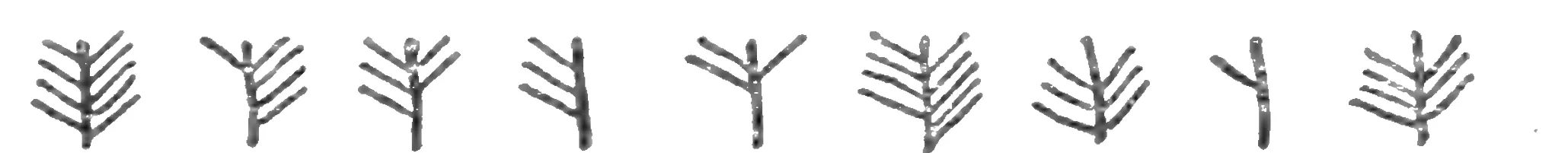 Nine characters of “tree-writing”, each an upright stroke with sloping branches on the right or left, spelling “nám-i-tú chíst?” from right to left.