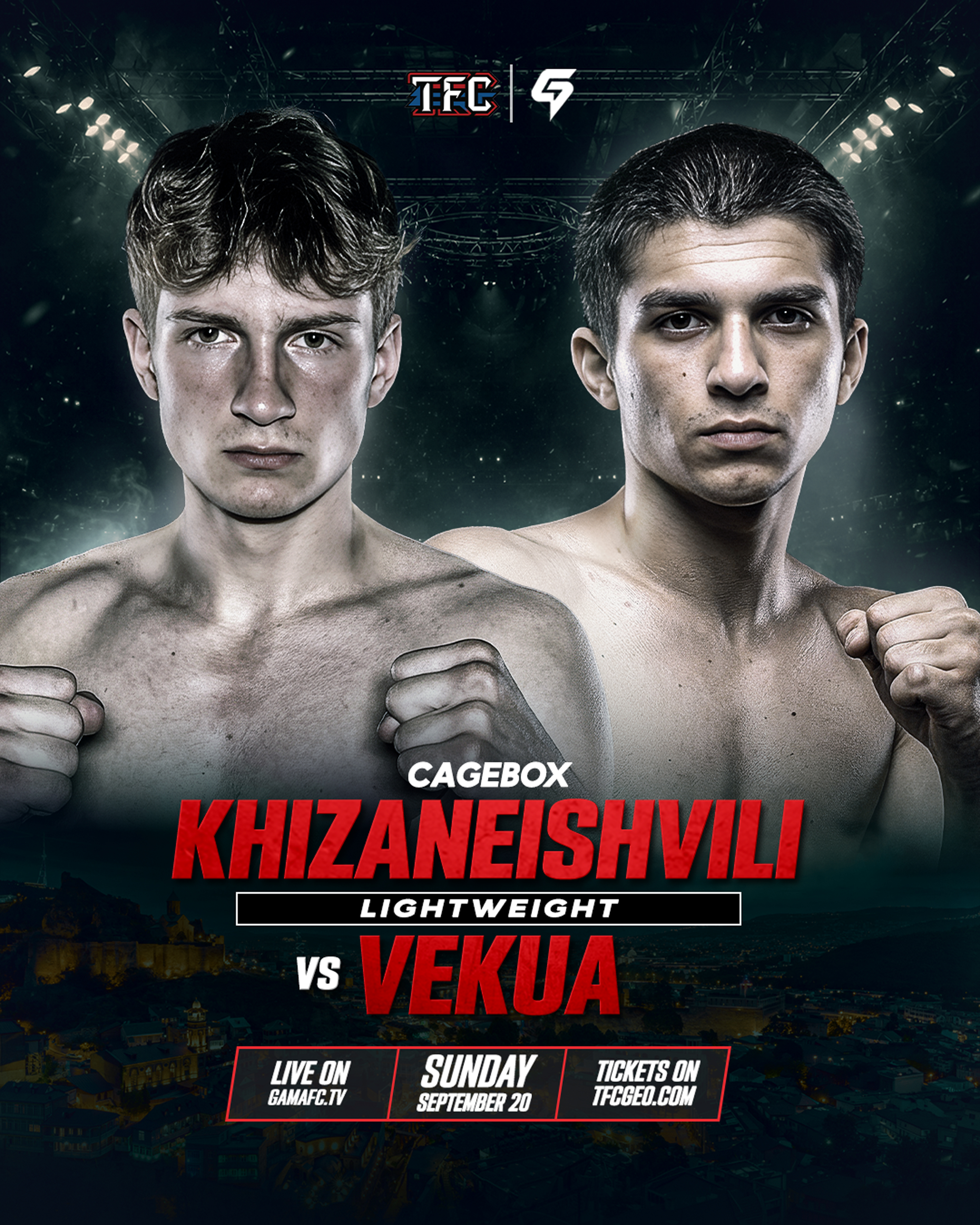 L. Khizaneishvili VS N. Vekua