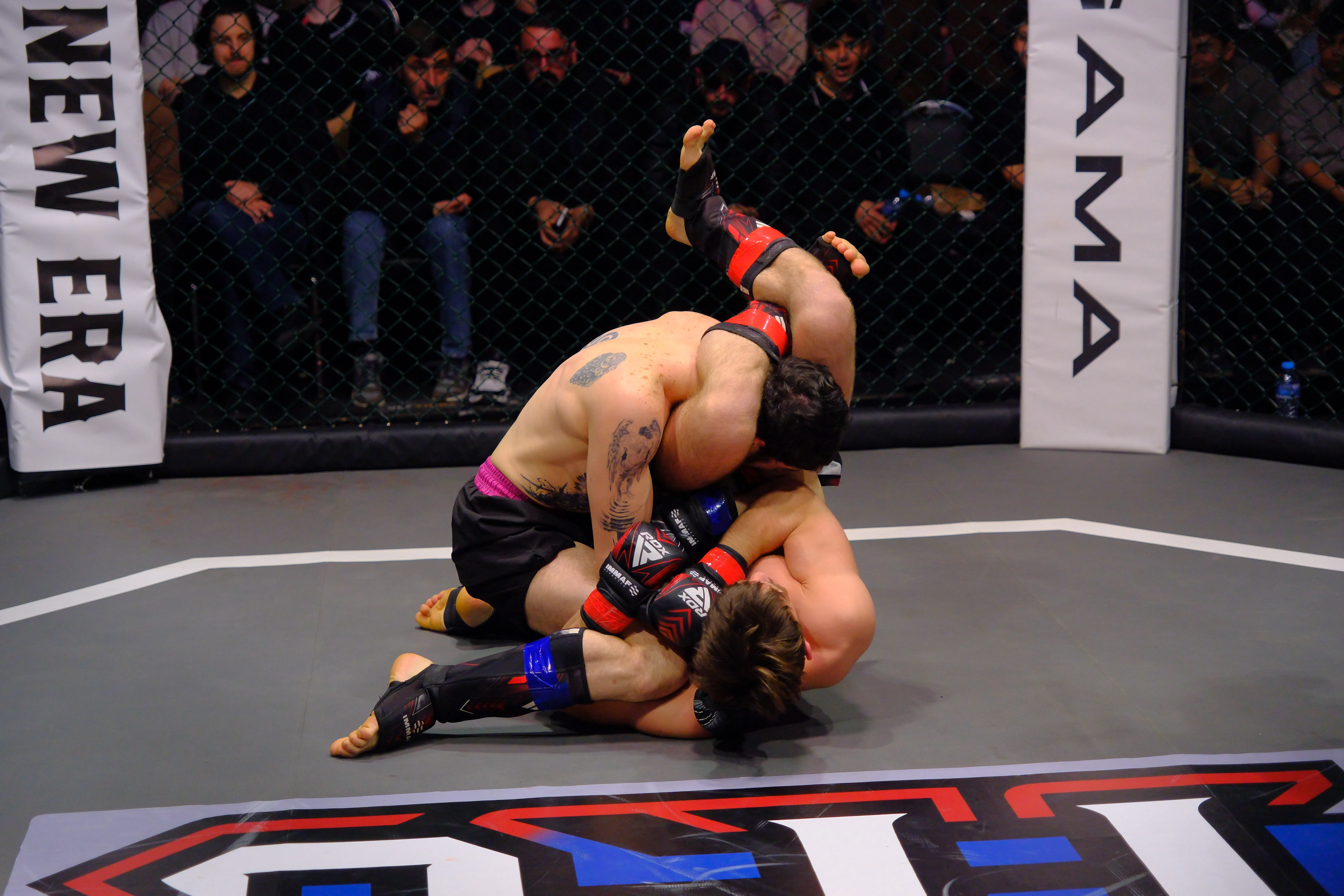 Dvalishvili 30 sec submission