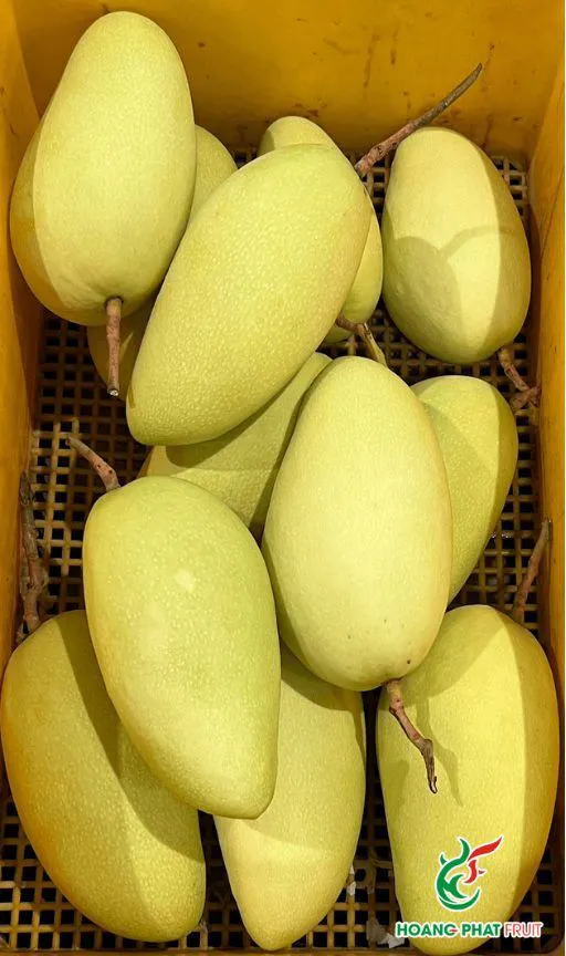 IQF Frozen Mango