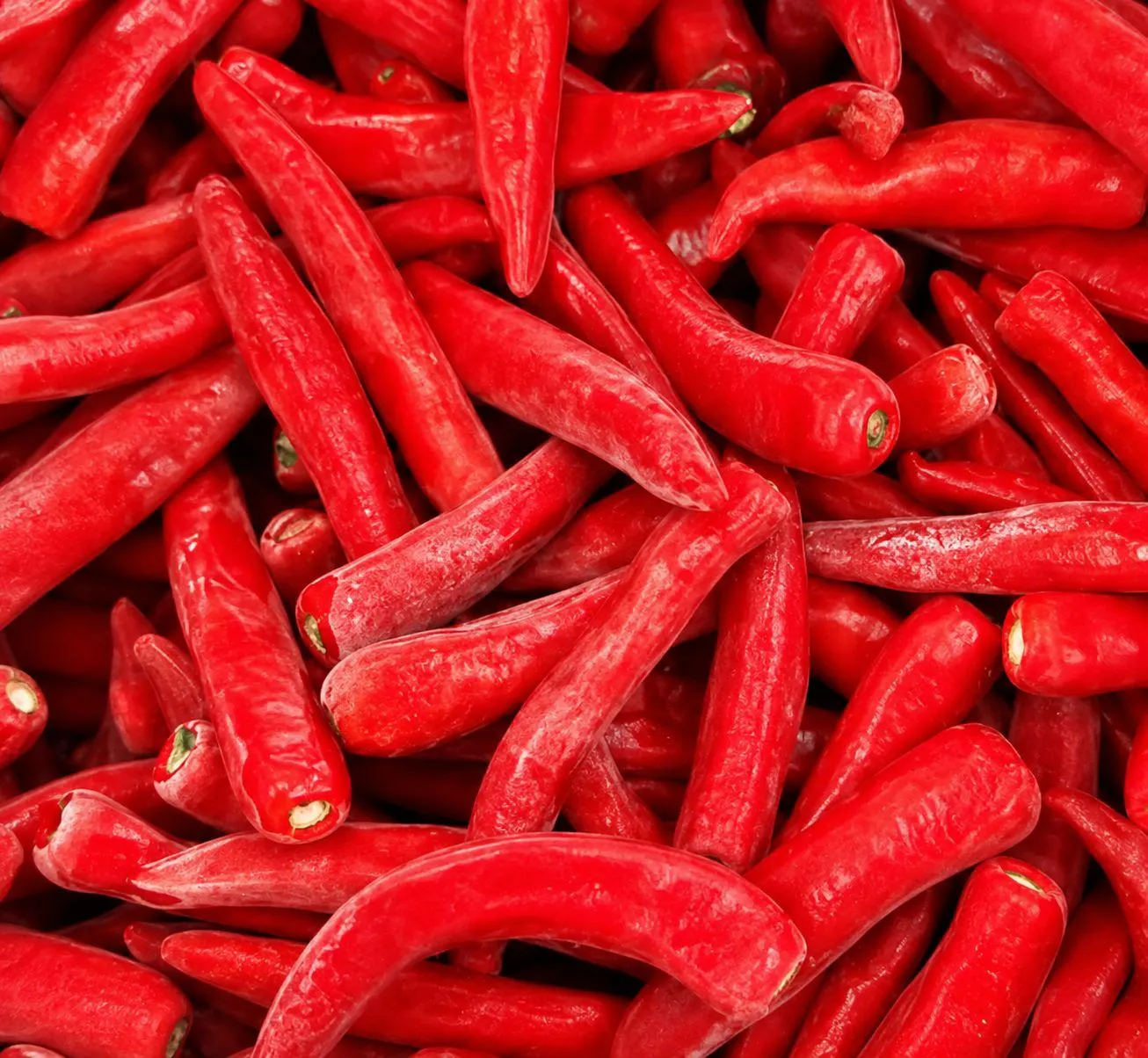Cold chain in fresh fruit export: Pre-cooling, reefer containers, and end-to-end temperature monitoring