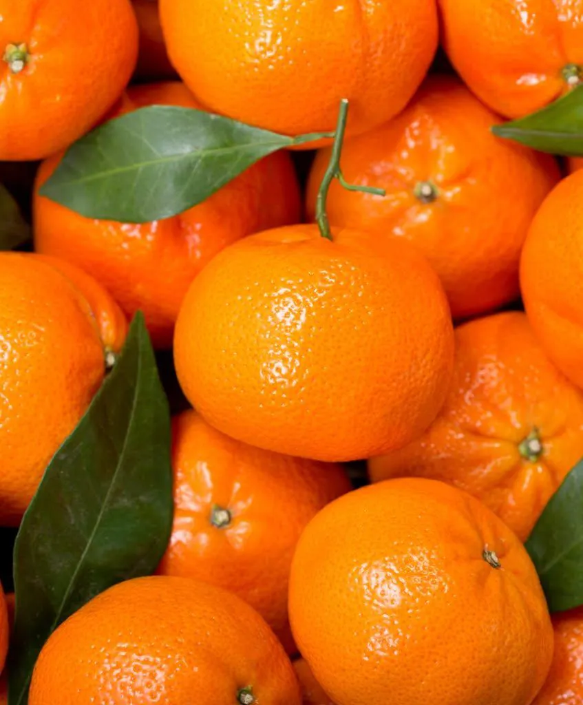 Mandarin orange