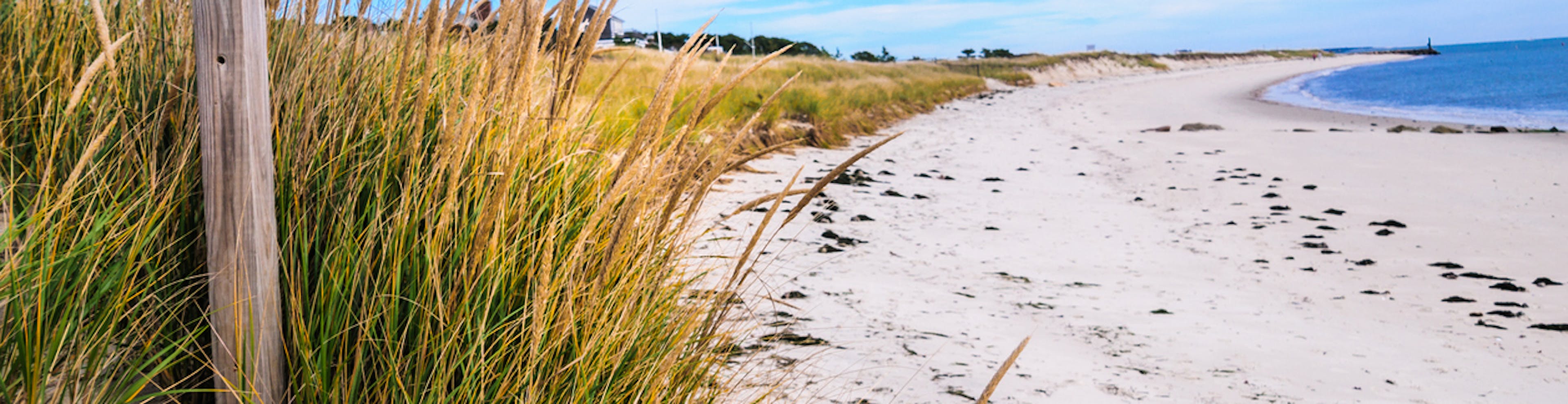 Beach House Hunting in South Coast