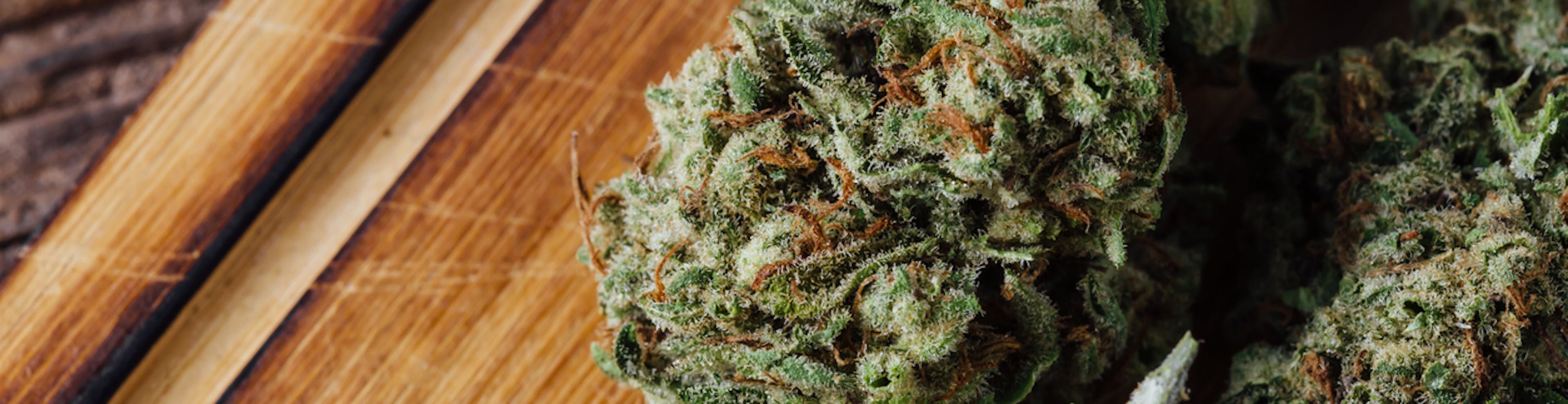 What is it 4/20 and where to celebrate it in Massachusetts