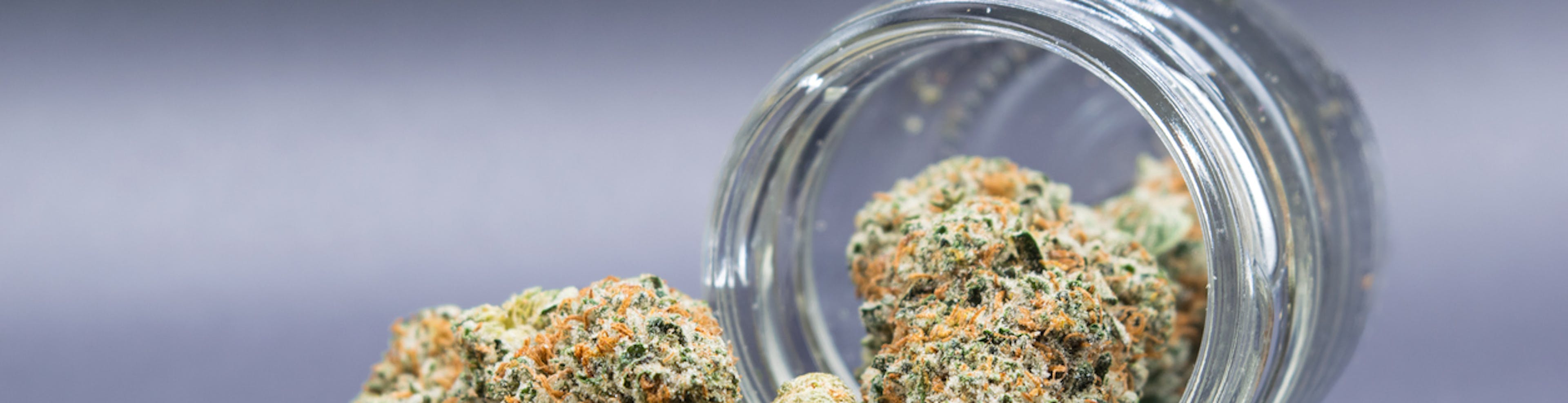 “In Da Couch” or Out and About? A Guide to Strains for Every Mood
