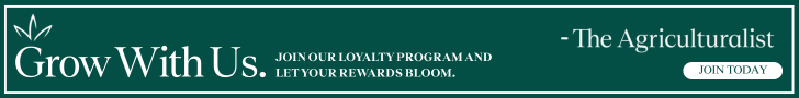 CTA Banner