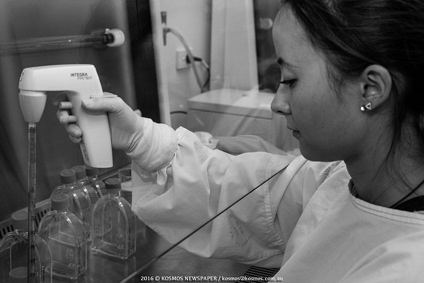 Bill Walsh Cancer Research Laboratory 2016