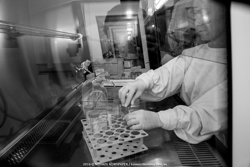 Bill Walsh Cancer Research Laboratory 2016