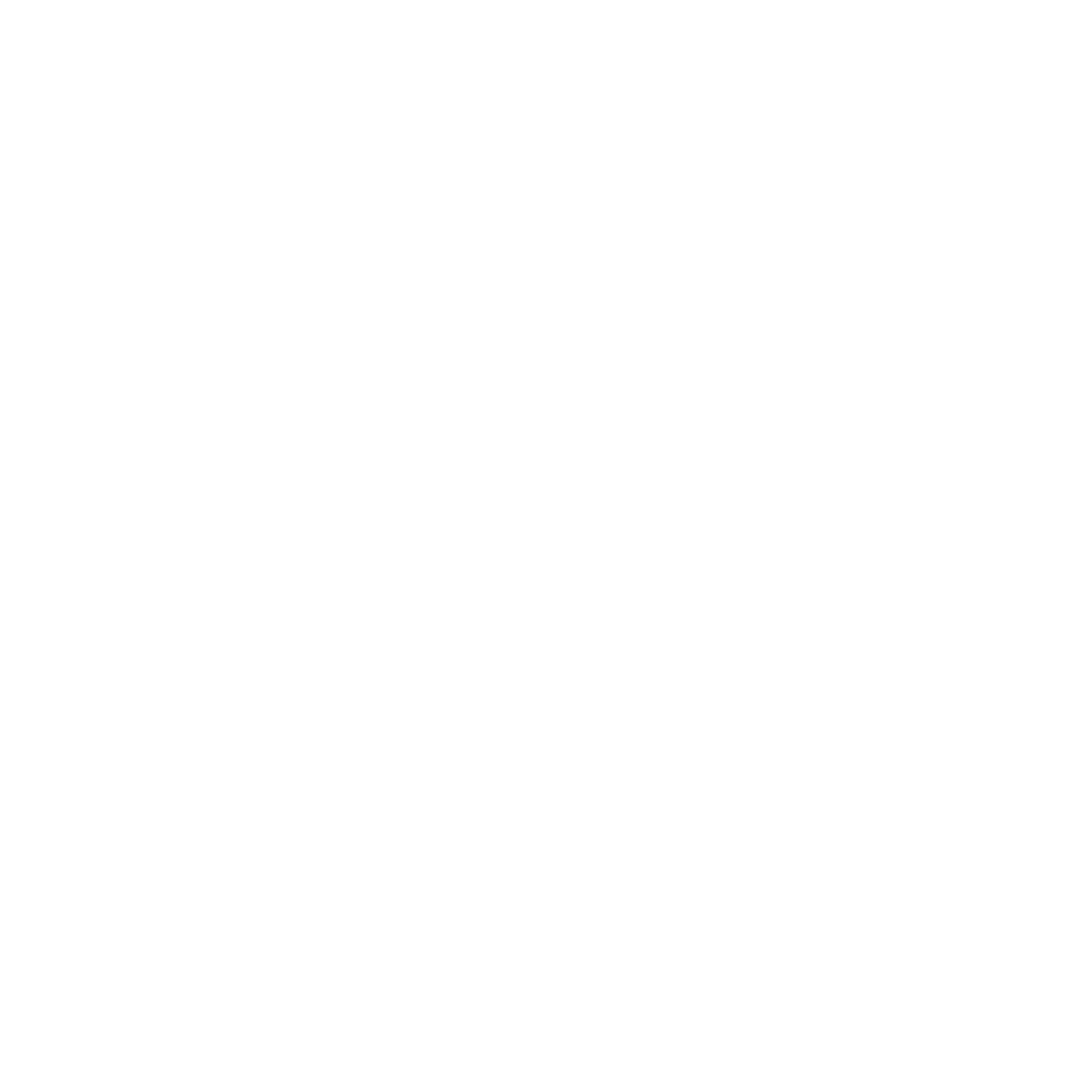 Social icon