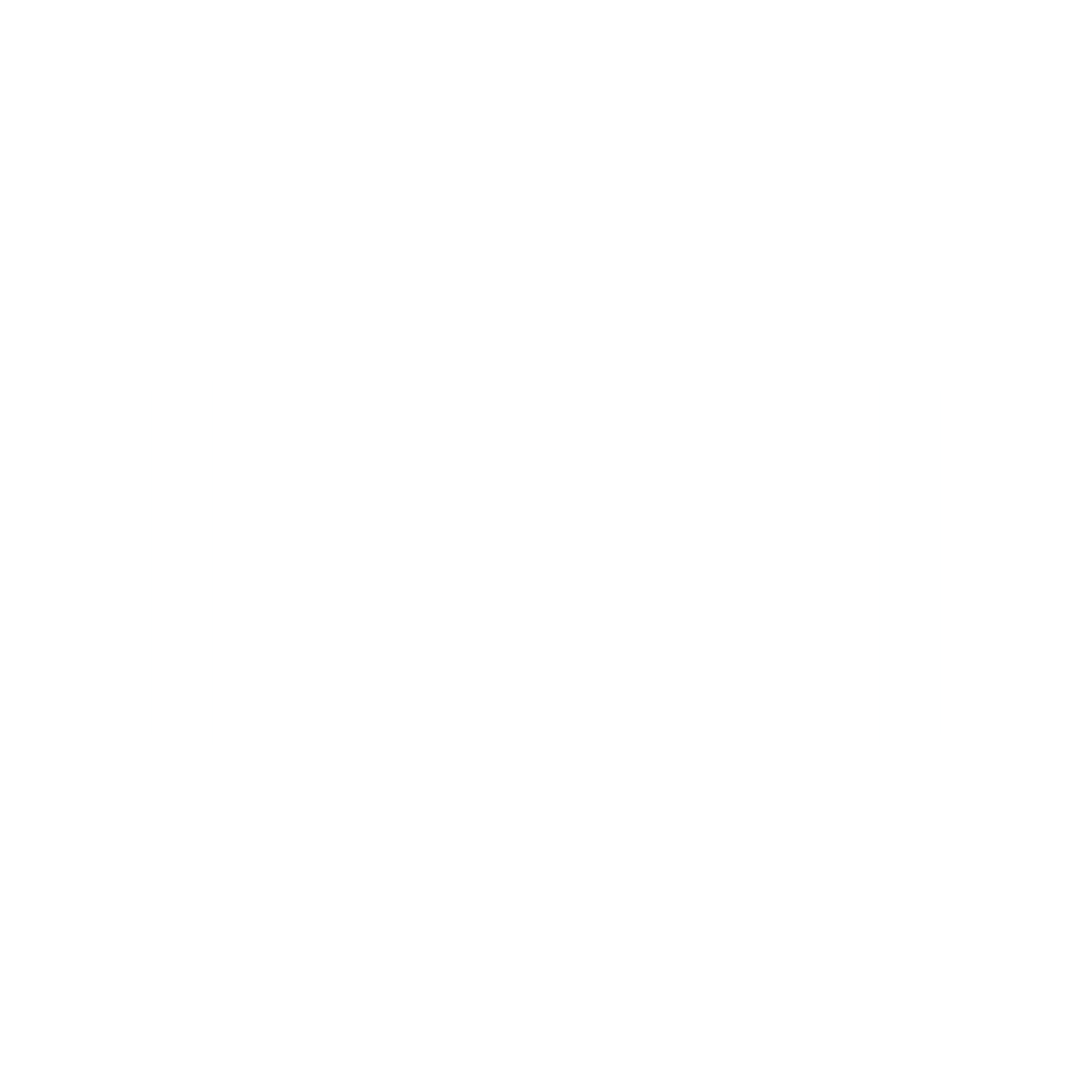 Social icon