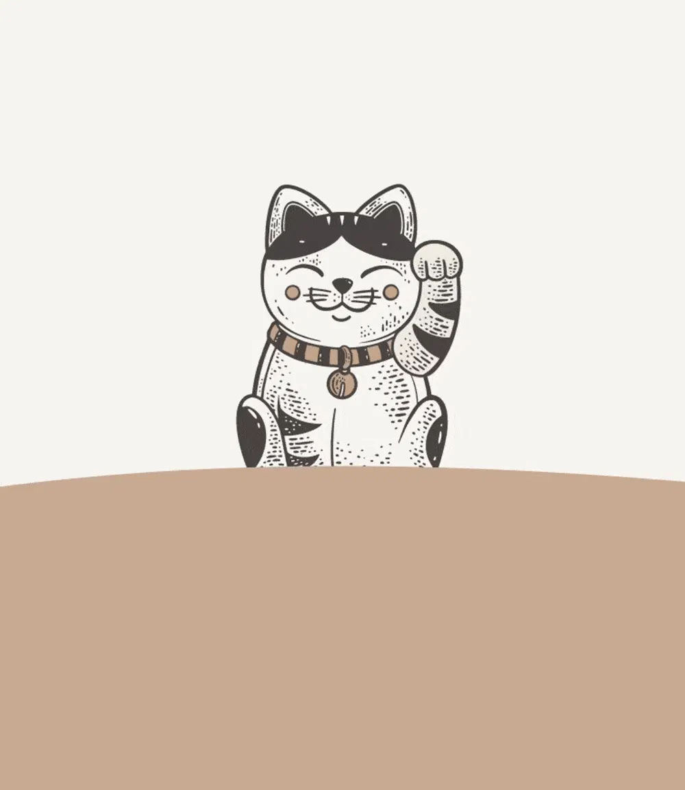 Beispiel für eine Webdesign-Animation für Maneco Studio