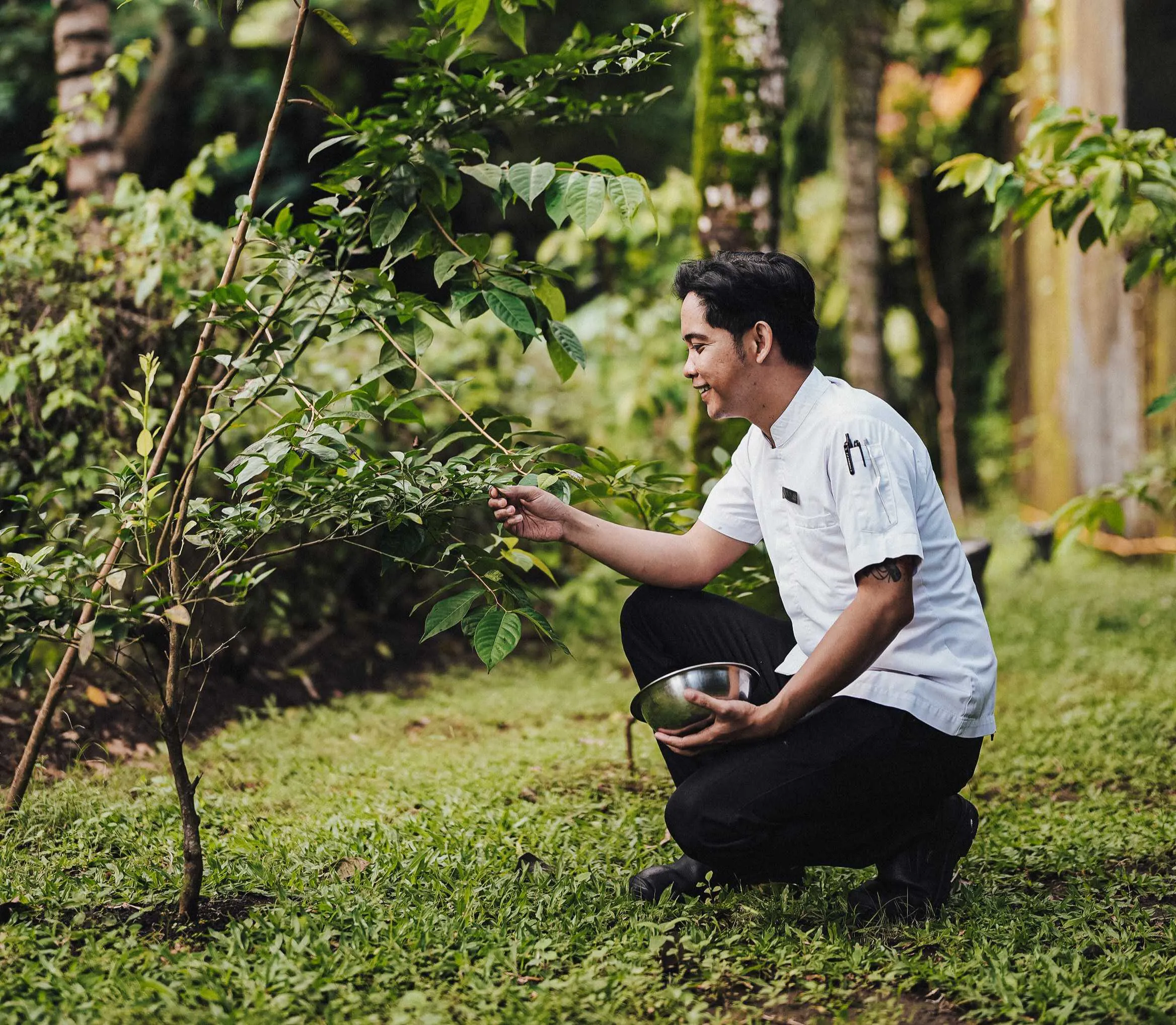farming at the green cage garden
