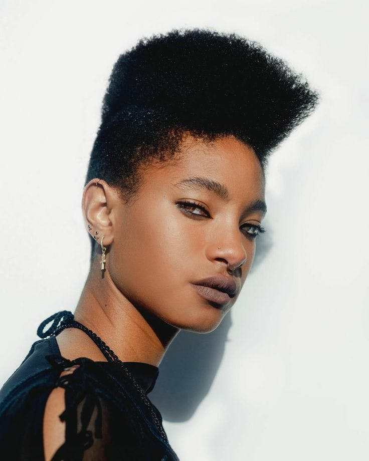 Willow Smith Afro Punk Hairstyle 