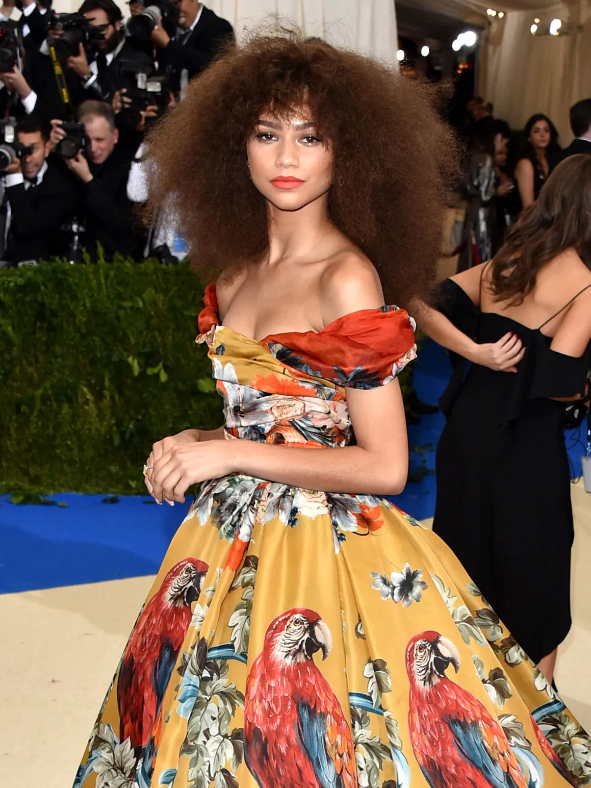 Zendaya 2017 Met Gala Hairstyle 