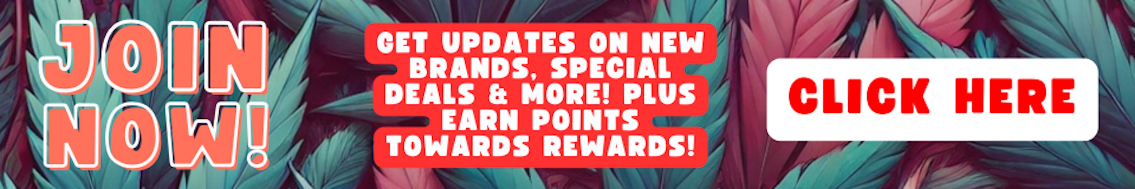 join our text club to earn points towards rewards and get the latest updates on new brands, restocked items and deals!