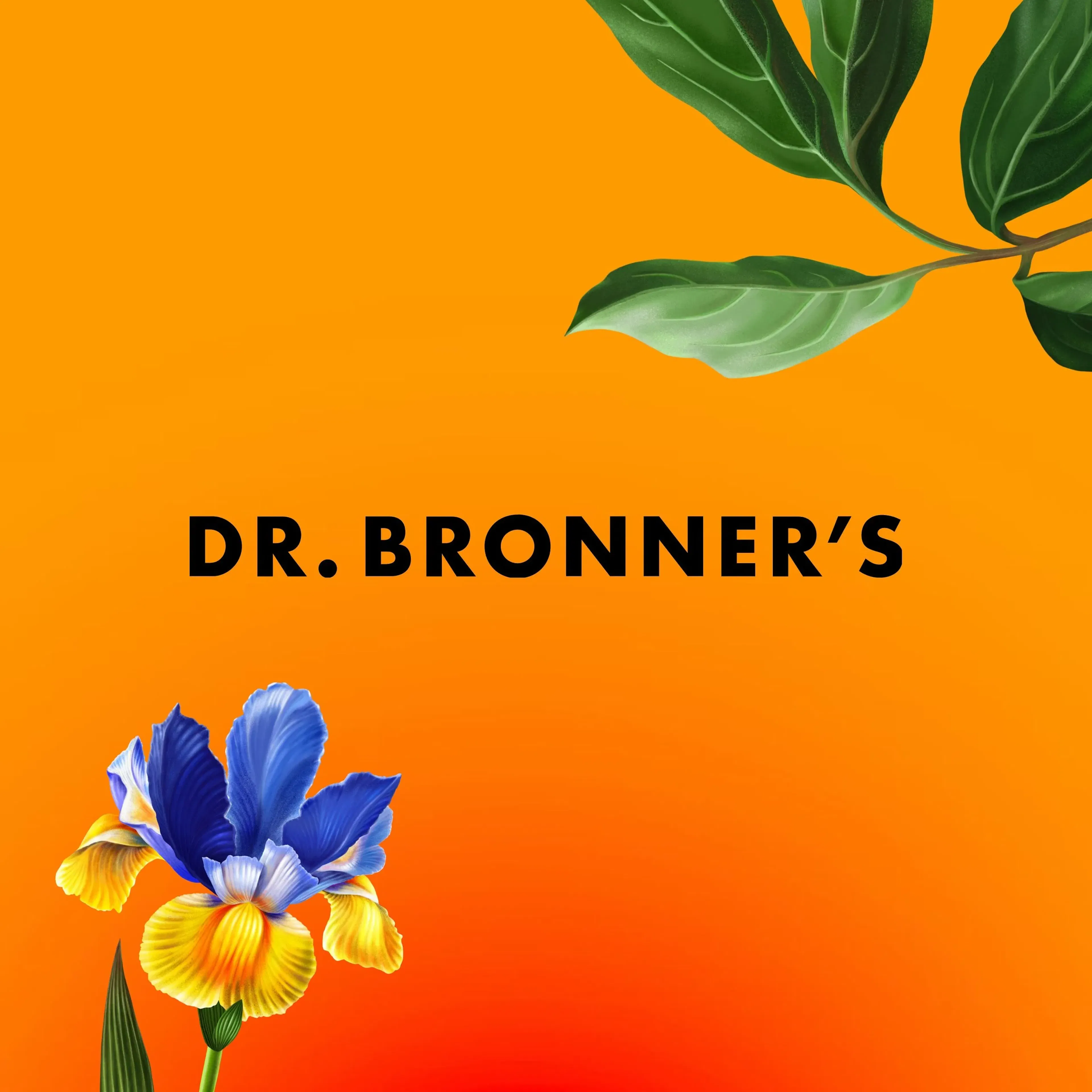 Dr Bronners