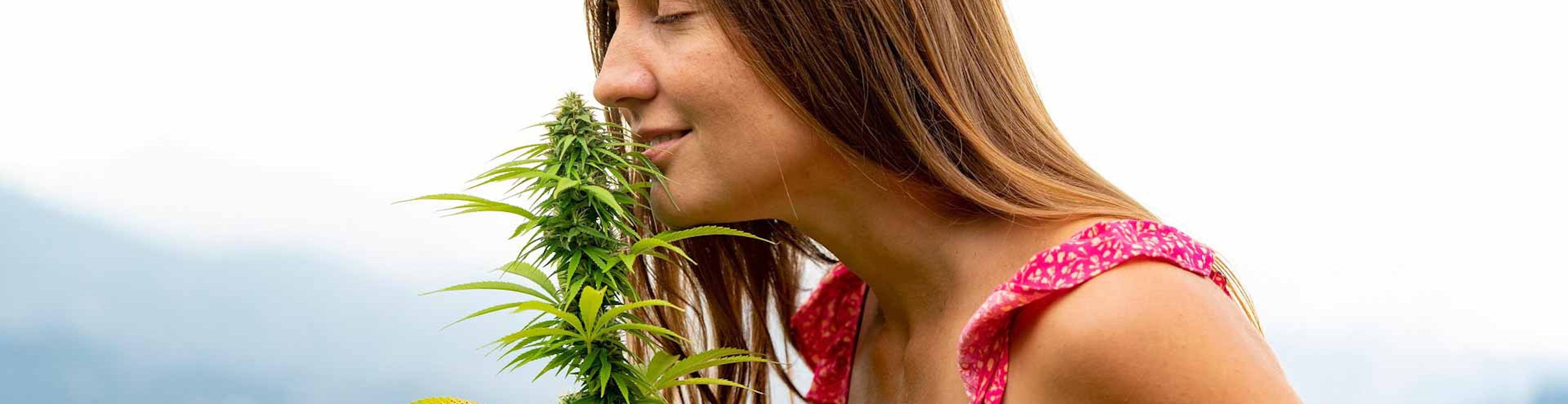 woman smelling cannabis plant