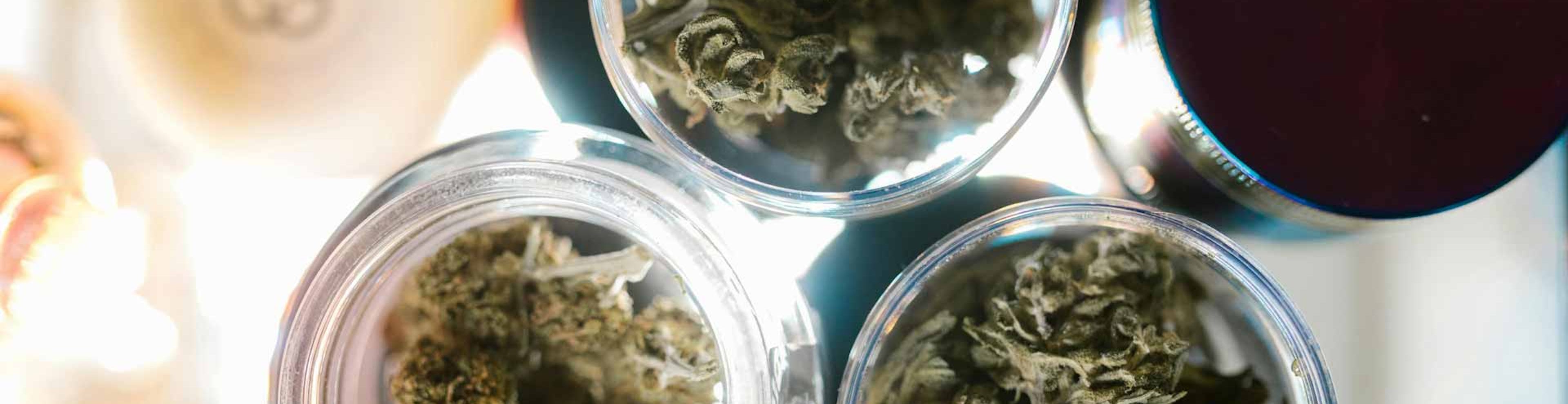 cannabis in small storage container