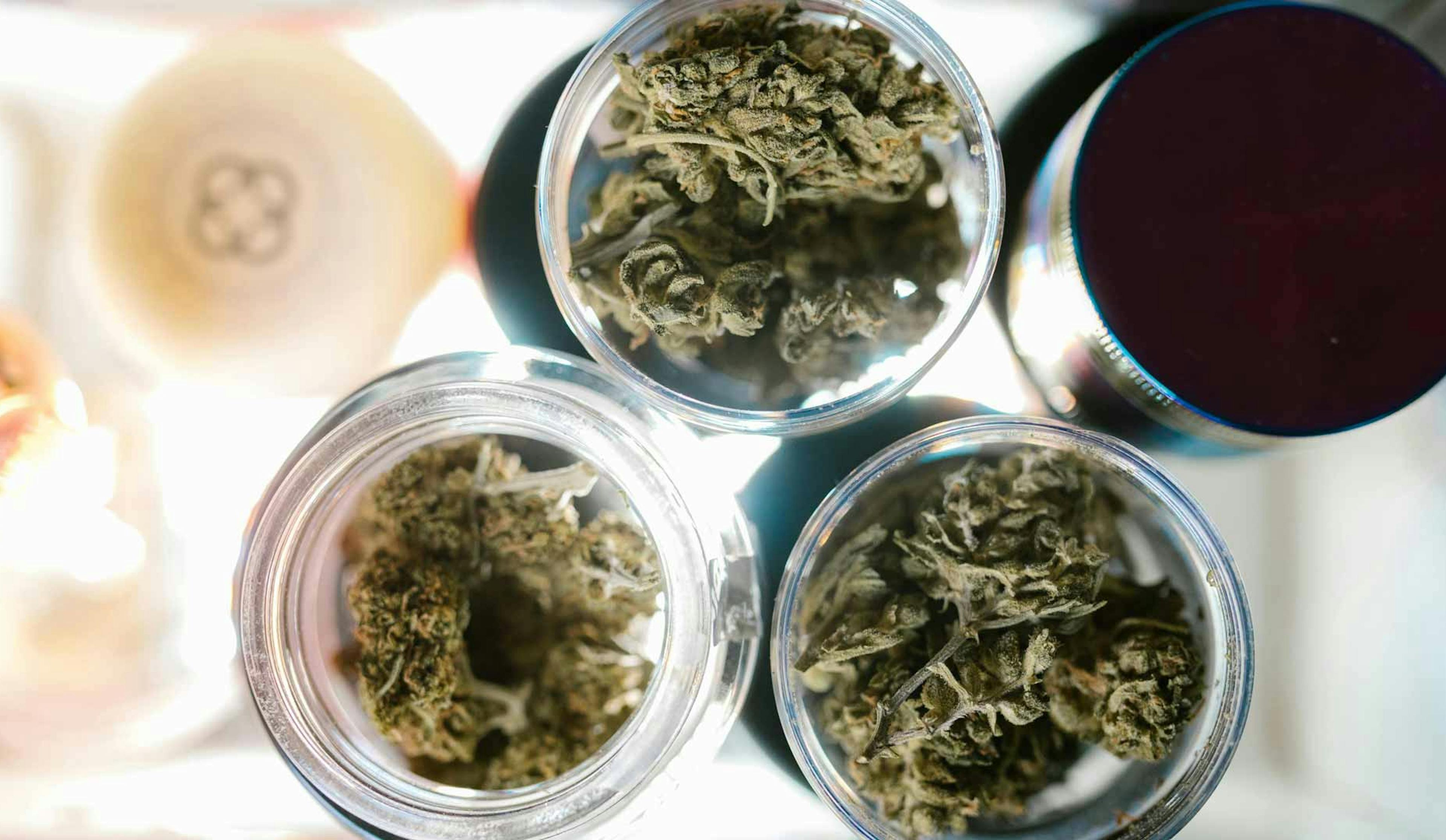 cannabis in small storage container